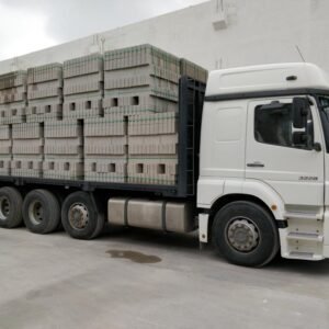 IMG-20211205-WA0088